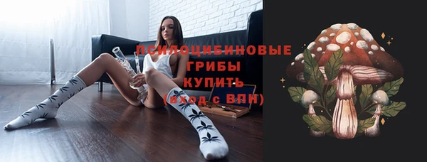 прущий лед Армянск