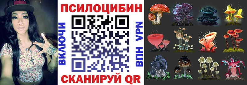 Галлюциногенные грибы MAGIC MUSHROOMS  Купить закладки  Алупка 